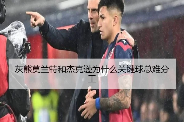 灰熊莫兰特和杰克逊为什么关键球总难分工